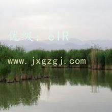 ҵ