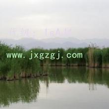 Բ