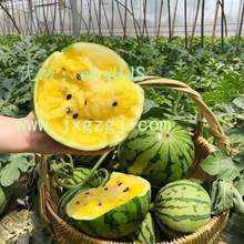 Ŀ