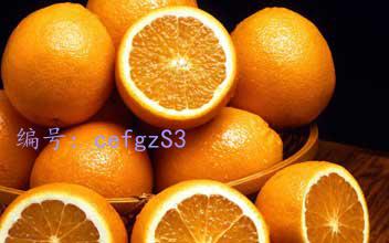 ҵ