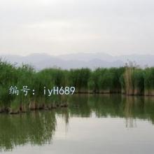 Զ