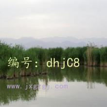 ҵ