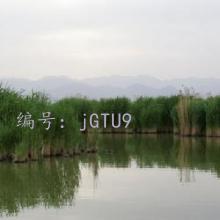 ҵ