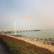 ˫