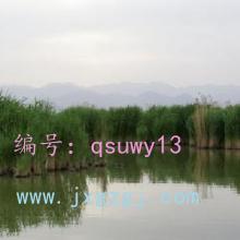 Բ