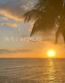 ḻ