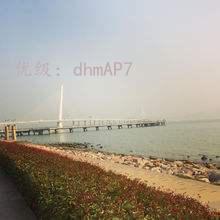 ˫