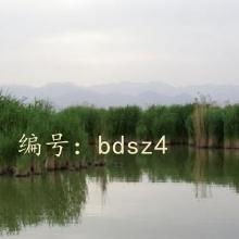 Ŀ