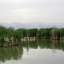 ҵ