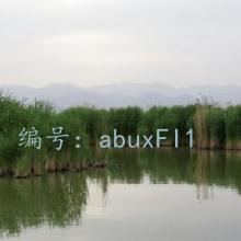 Զ