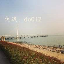 ˫