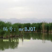 Բ